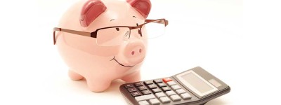 pig with calculator